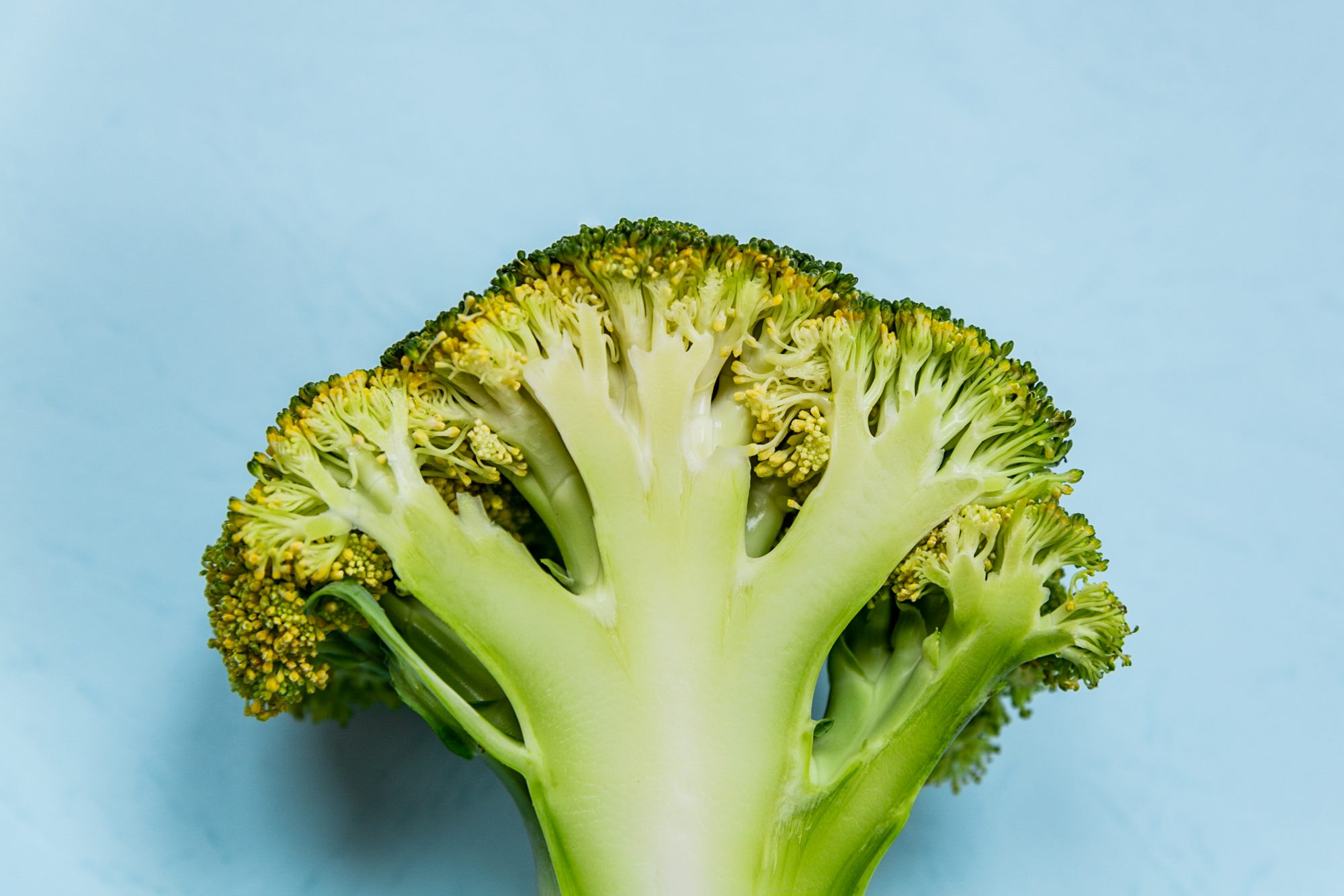 Detail Broccoli Image Nomer 37