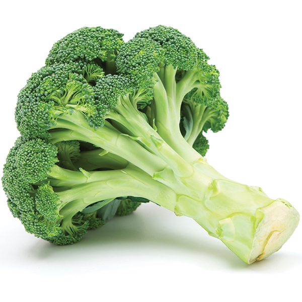 Detail Broccoli Image Nomer 42