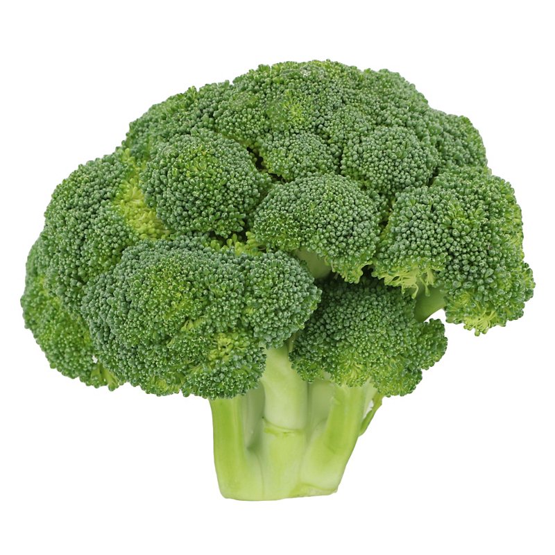 Detail Broccoli Image Nomer 7