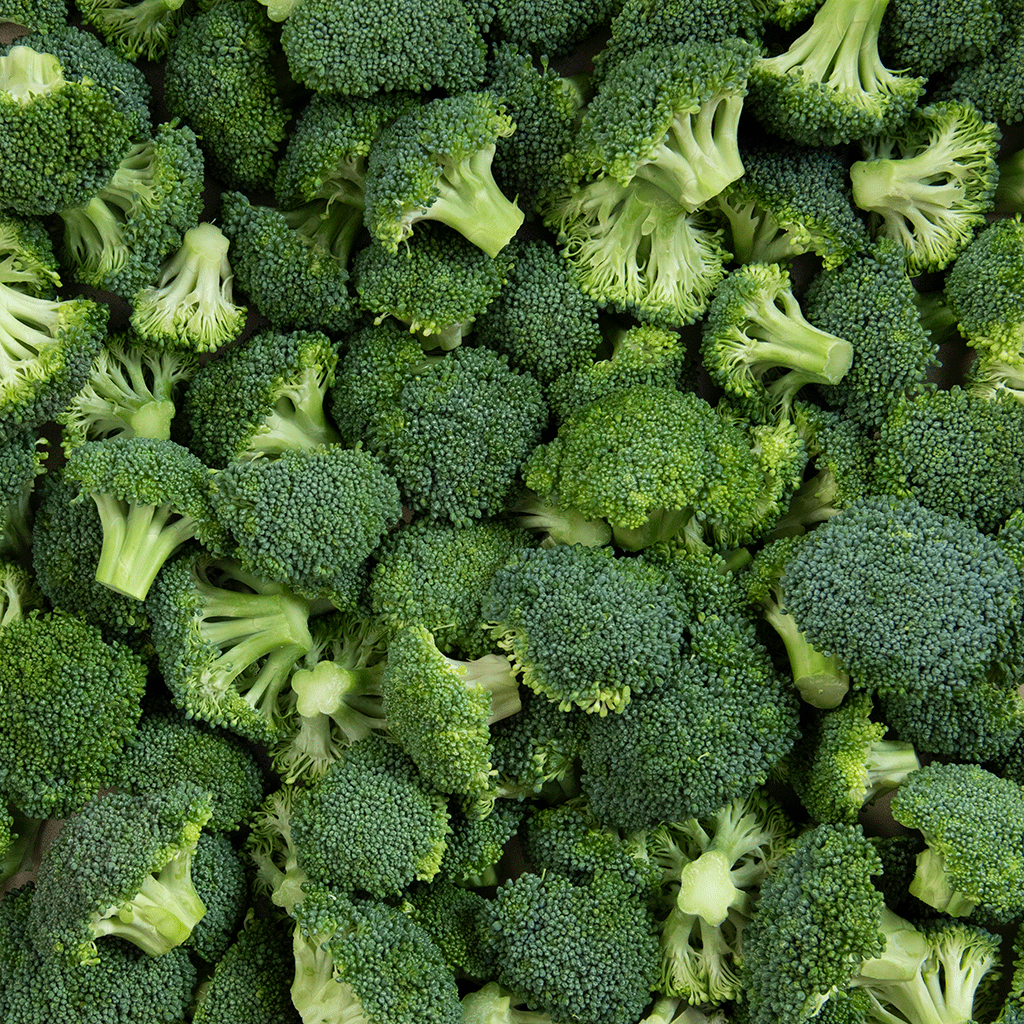 Detail Broccoli Image Nomer 10