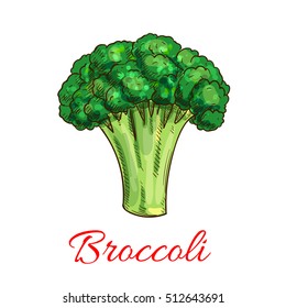 Detail Broccoli Logo Nomer 18