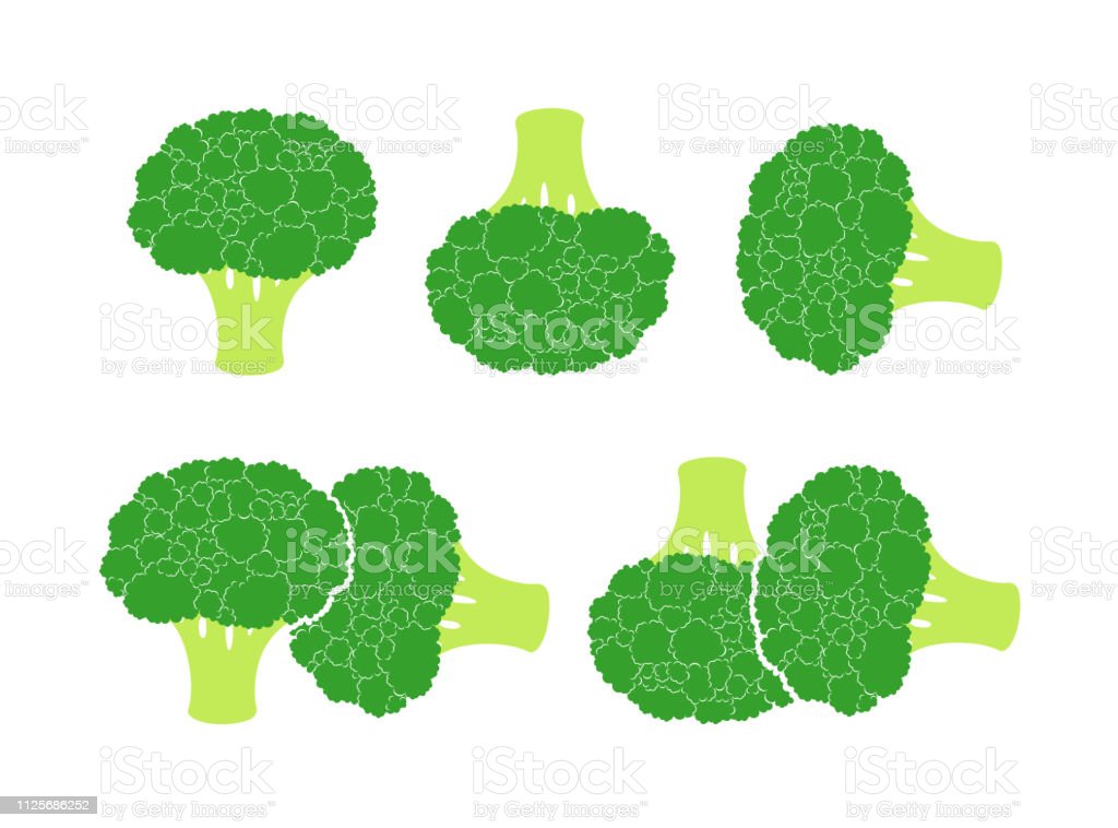 Detail Broccoli Logo Nomer 51