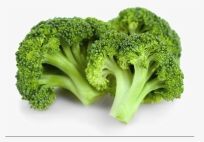 Detail Broccoli No Background Nomer 10