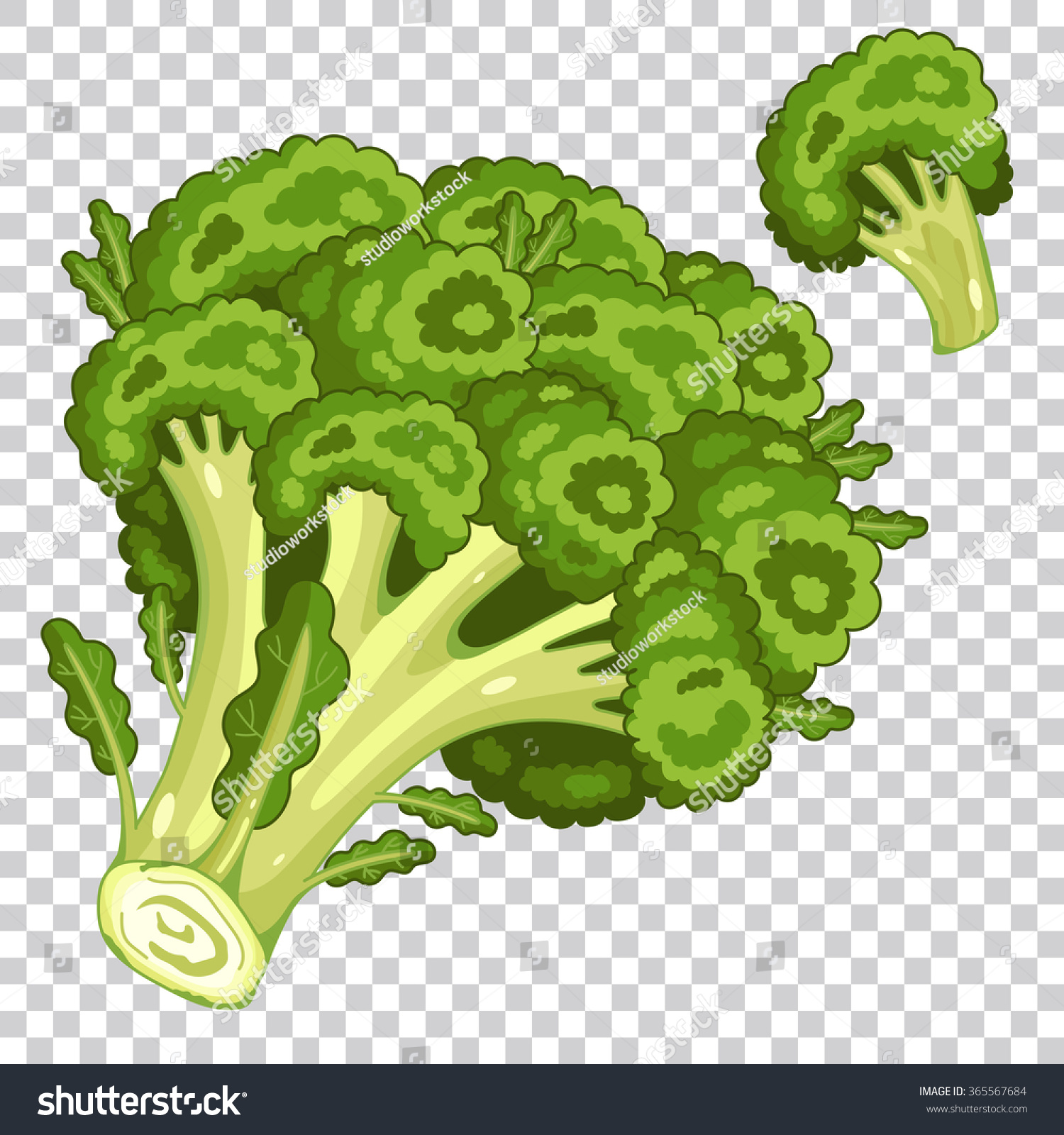 Detail Broccoli No Background Nomer 36