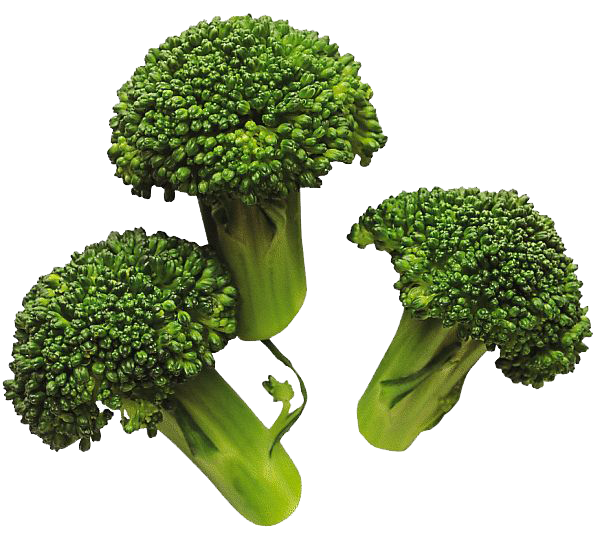 Download Broccoli No Background Nomer 42