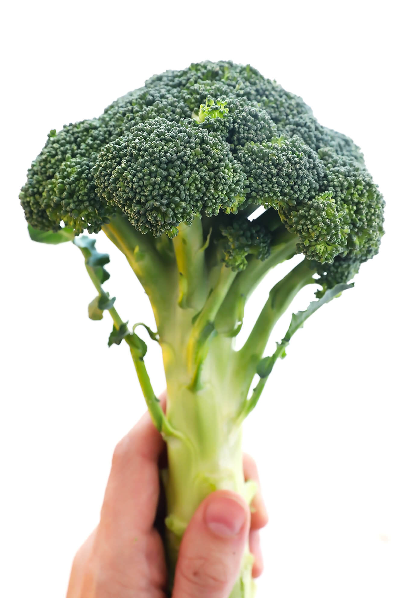 Detail Broccoli Pic Nomer 6