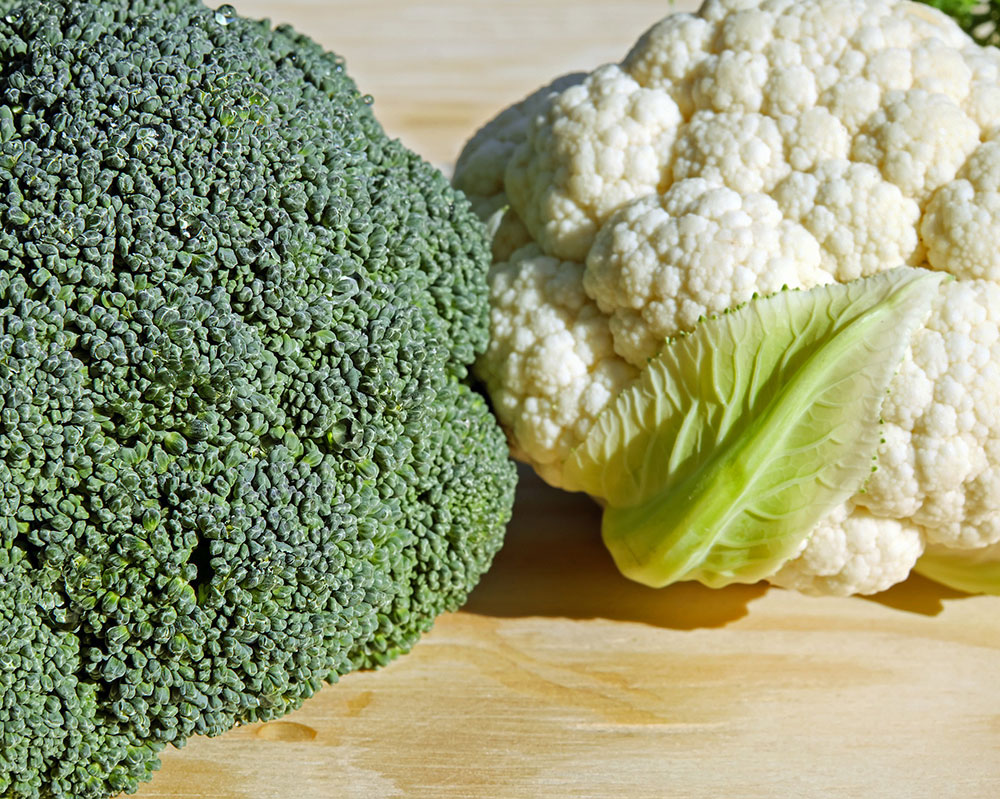 Detail Broccoli Picture Nomer 14