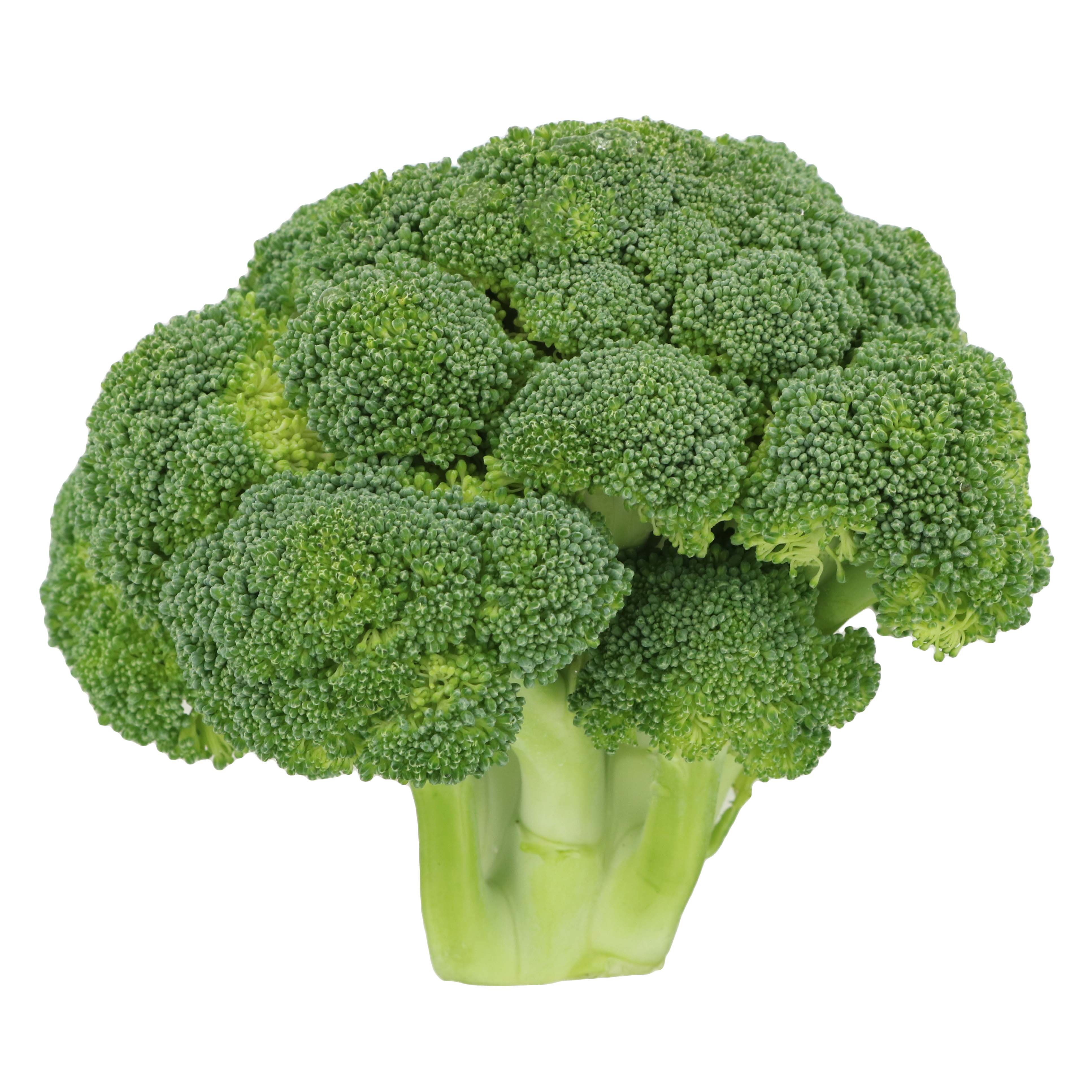 Detail Broccoli Picture Nomer 5