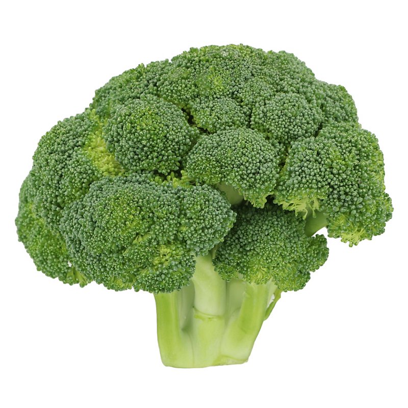 Detail Broccoli Pictures Nomer 9