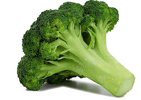 Detail Broccoli Png Nomer 3