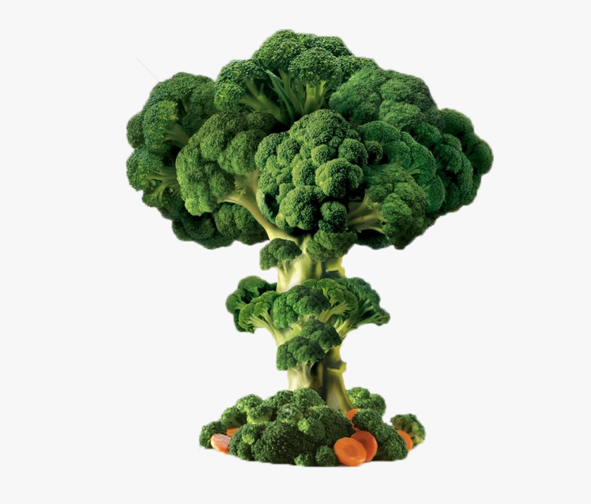 Detail Broccoli Png Nomer 44