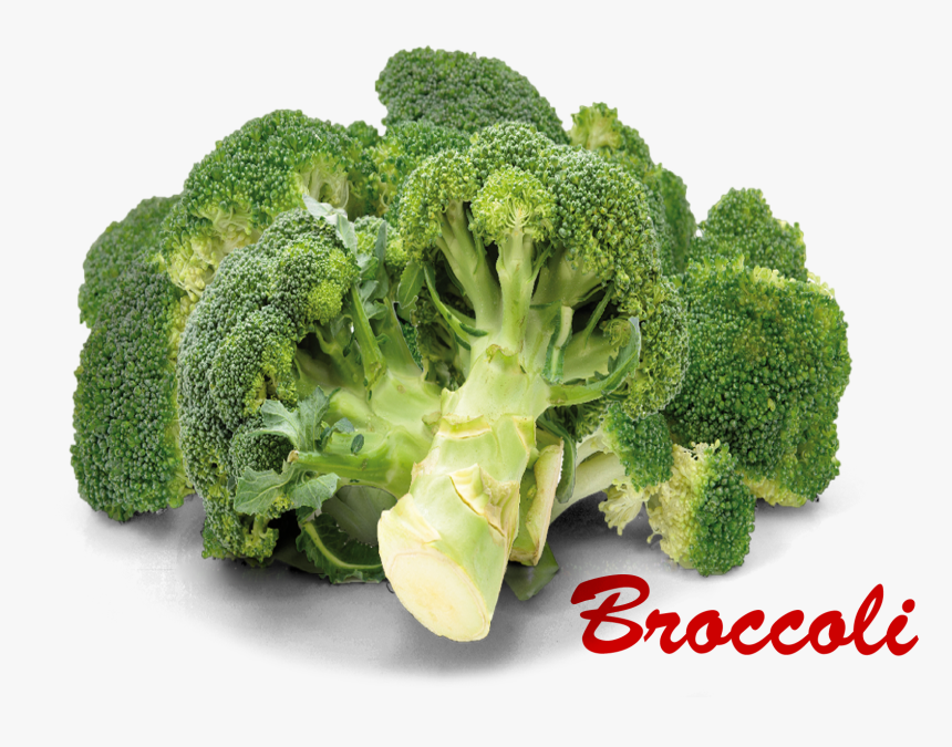 Detail Broccoli Png Nomer 48