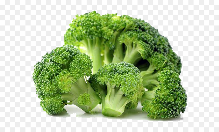 Detail Broccoli Transparent Nomer 9