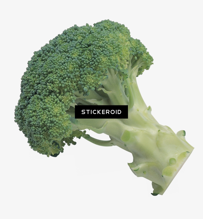 Detail Broccoli Transparent Nomer 10