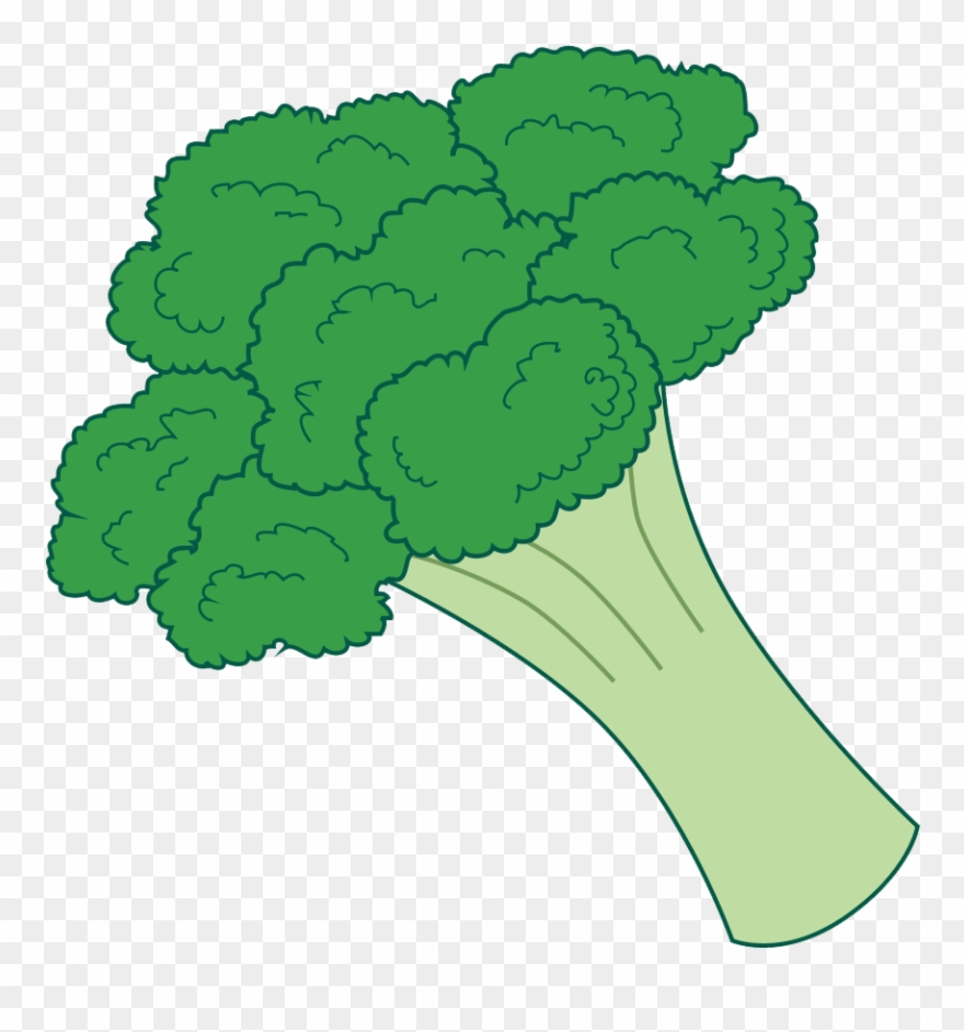Detail Broccoli Transparent Nomer 14