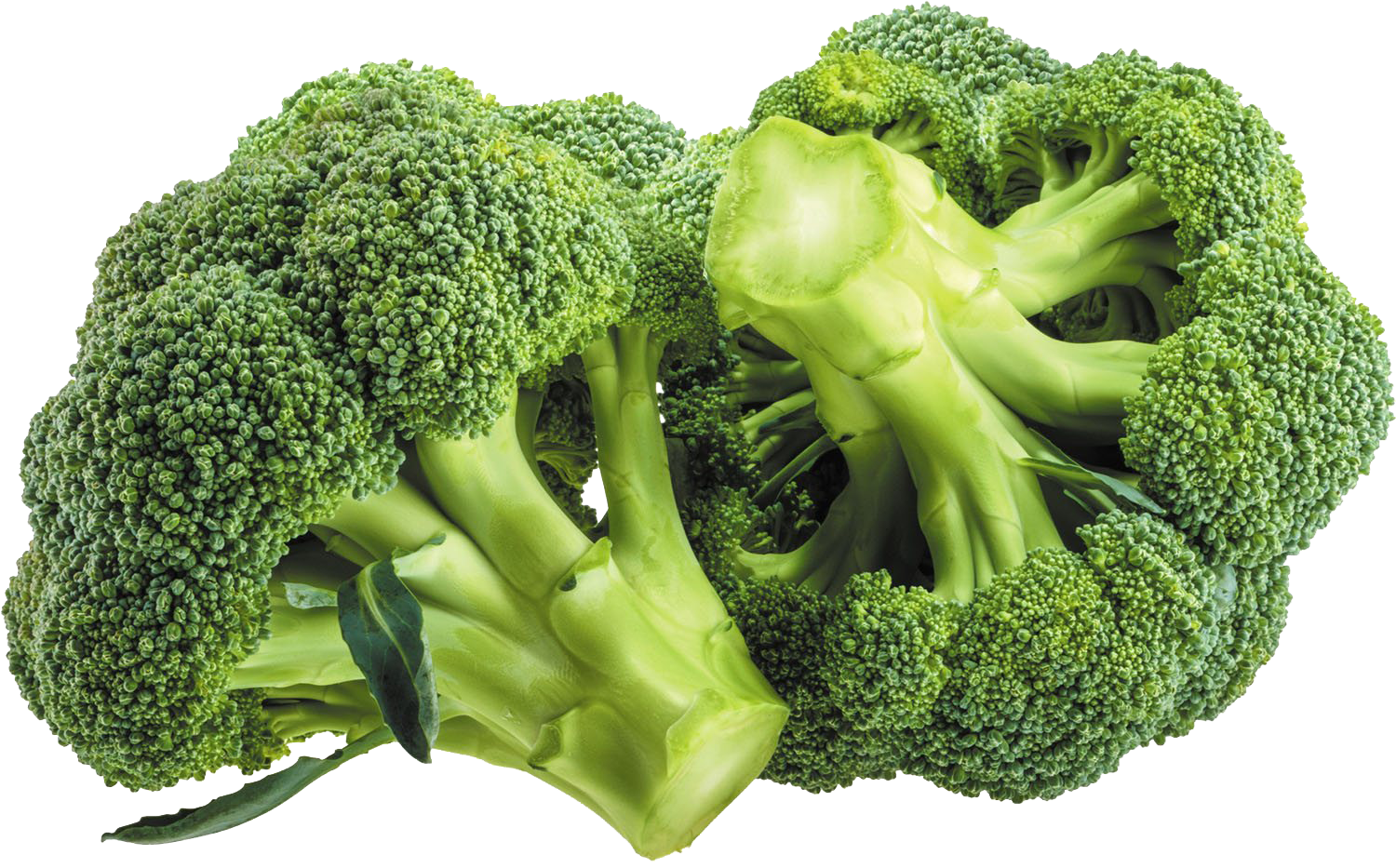 Detail Broccoli Transparent Nomer 15