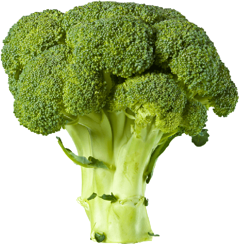 Detail Broccoli Transparent Nomer 17