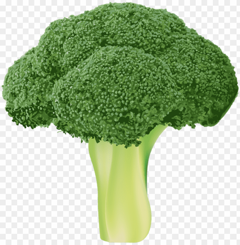 Broccoli Transparent - KibrisPDR
