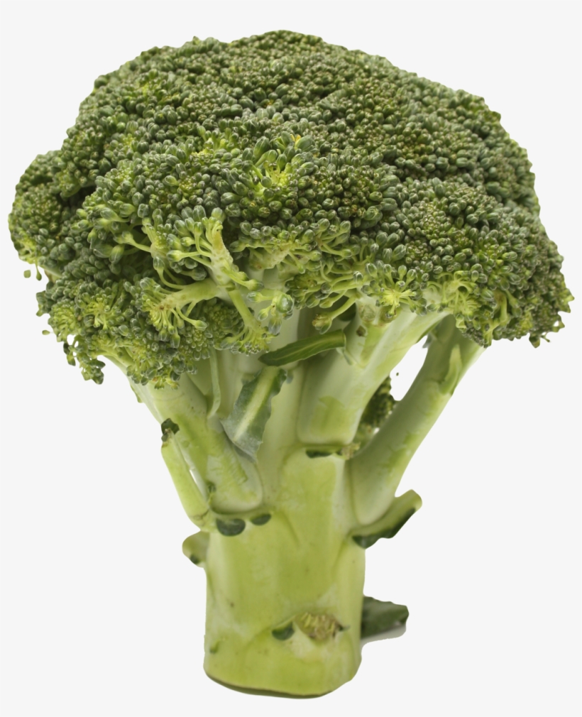 Detail Broccoli Transparent Nomer 18
