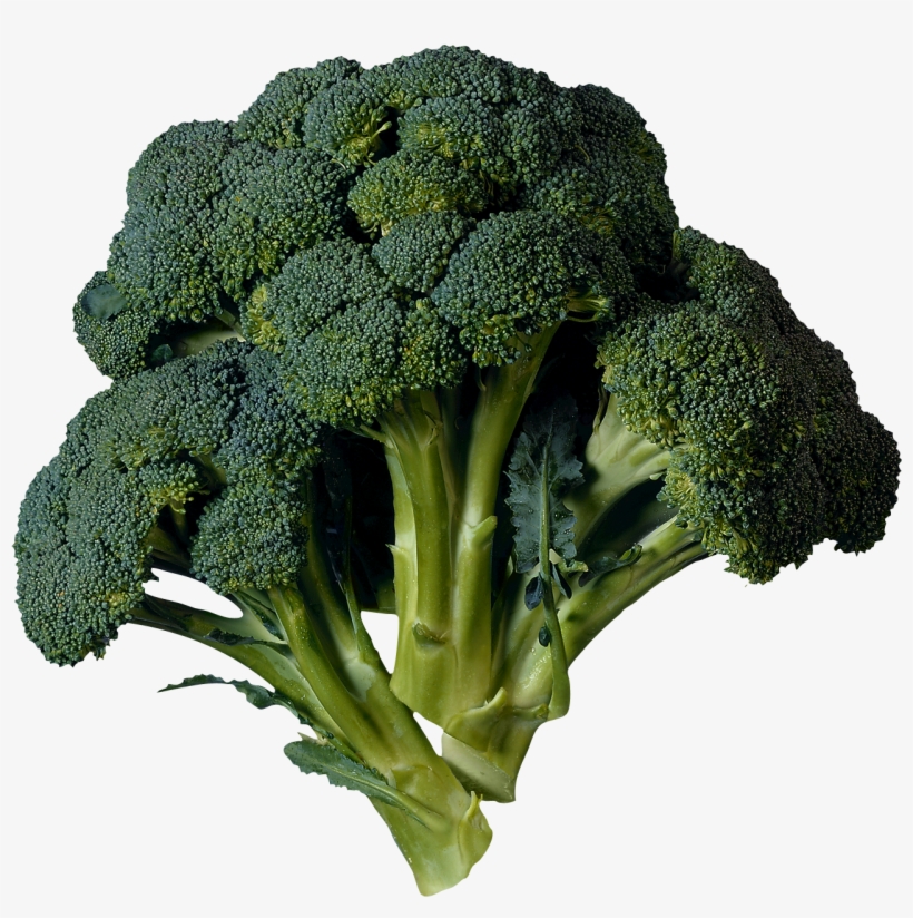 Detail Broccoli Transparent Nomer 20