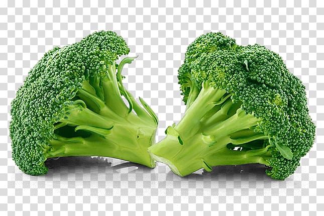 Detail Broccoli Transparent Nomer 22