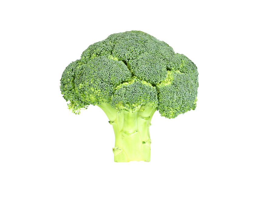 Detail Broccoli Transparent Nomer 23