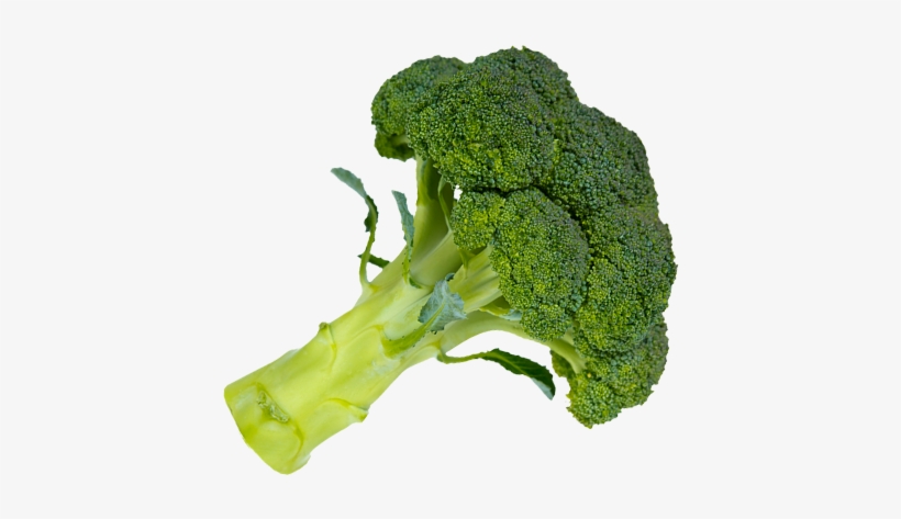 Detail Broccoli Transparent Nomer 25