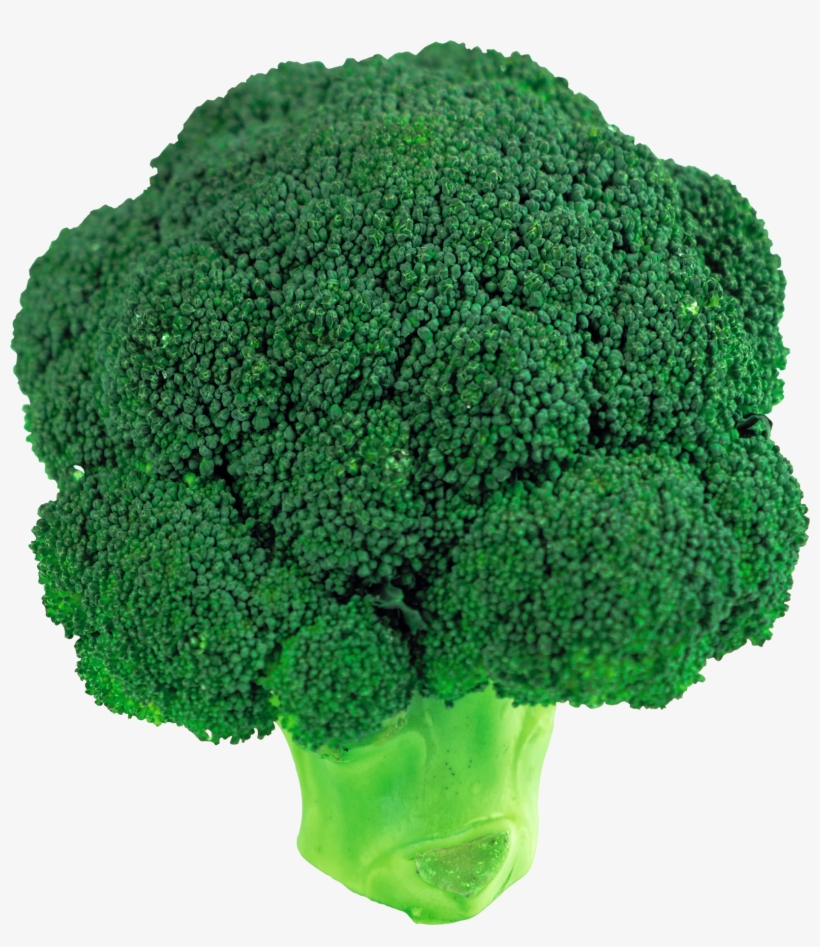 Detail Broccoli Transparent Nomer 26