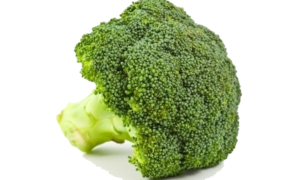 Detail Broccoli Transparent Nomer 27