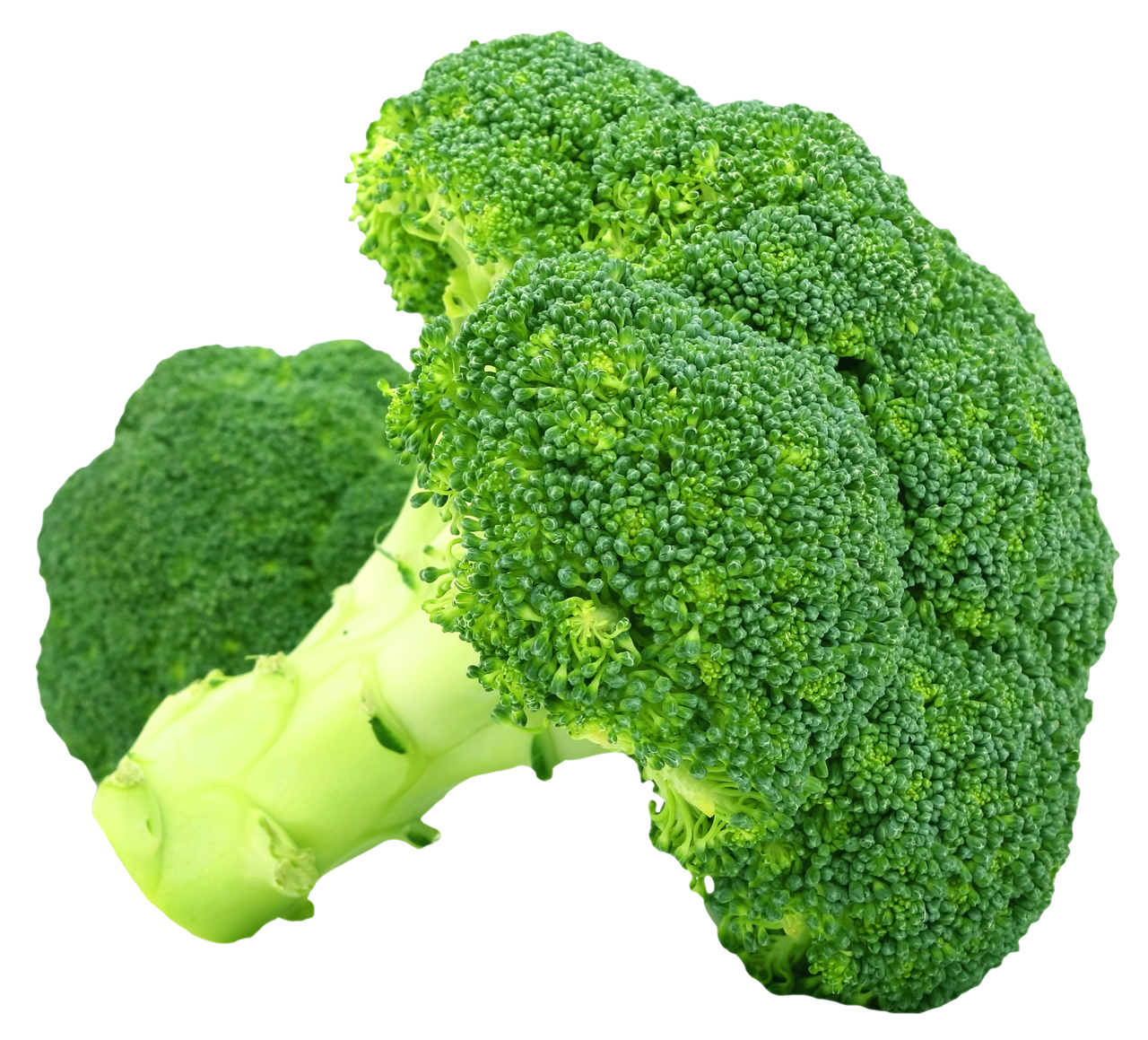 Detail Broccoli Transparent Nomer 29