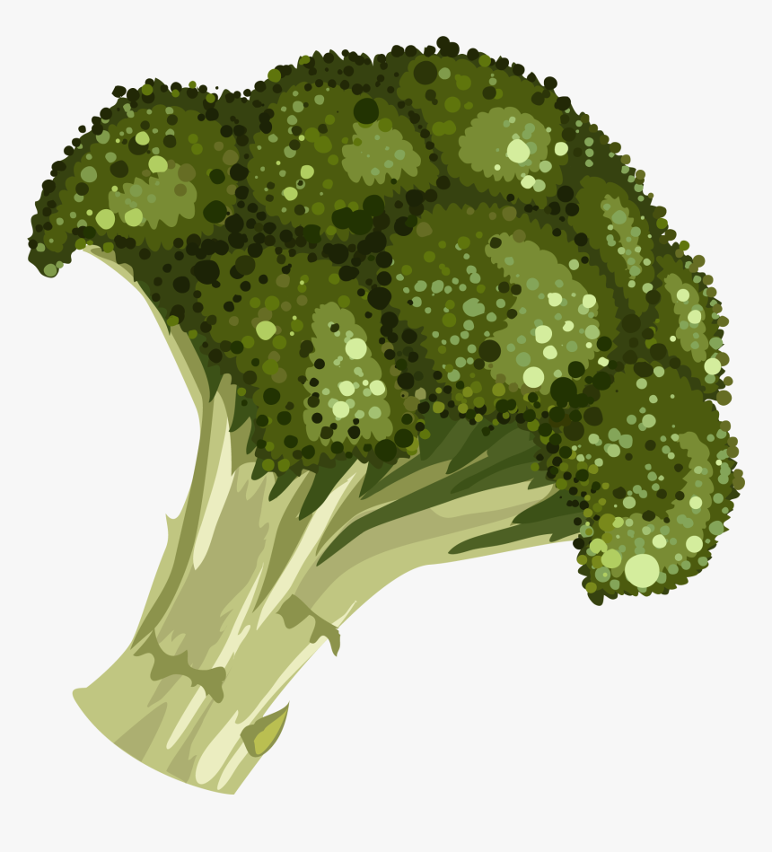 Detail Broccoli Transparent Nomer 34