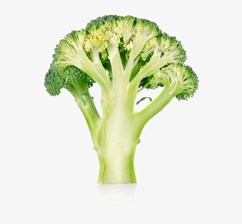 Detail Broccoli Transparent Nomer 35