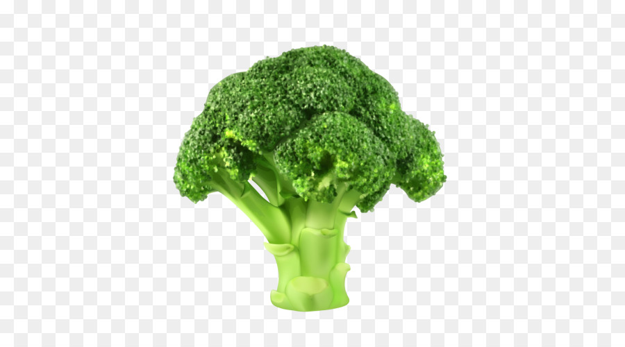 Detail Broccoli Transparent Nomer 37