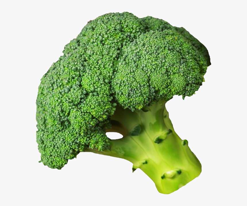 Detail Broccoli Transparent Nomer 38