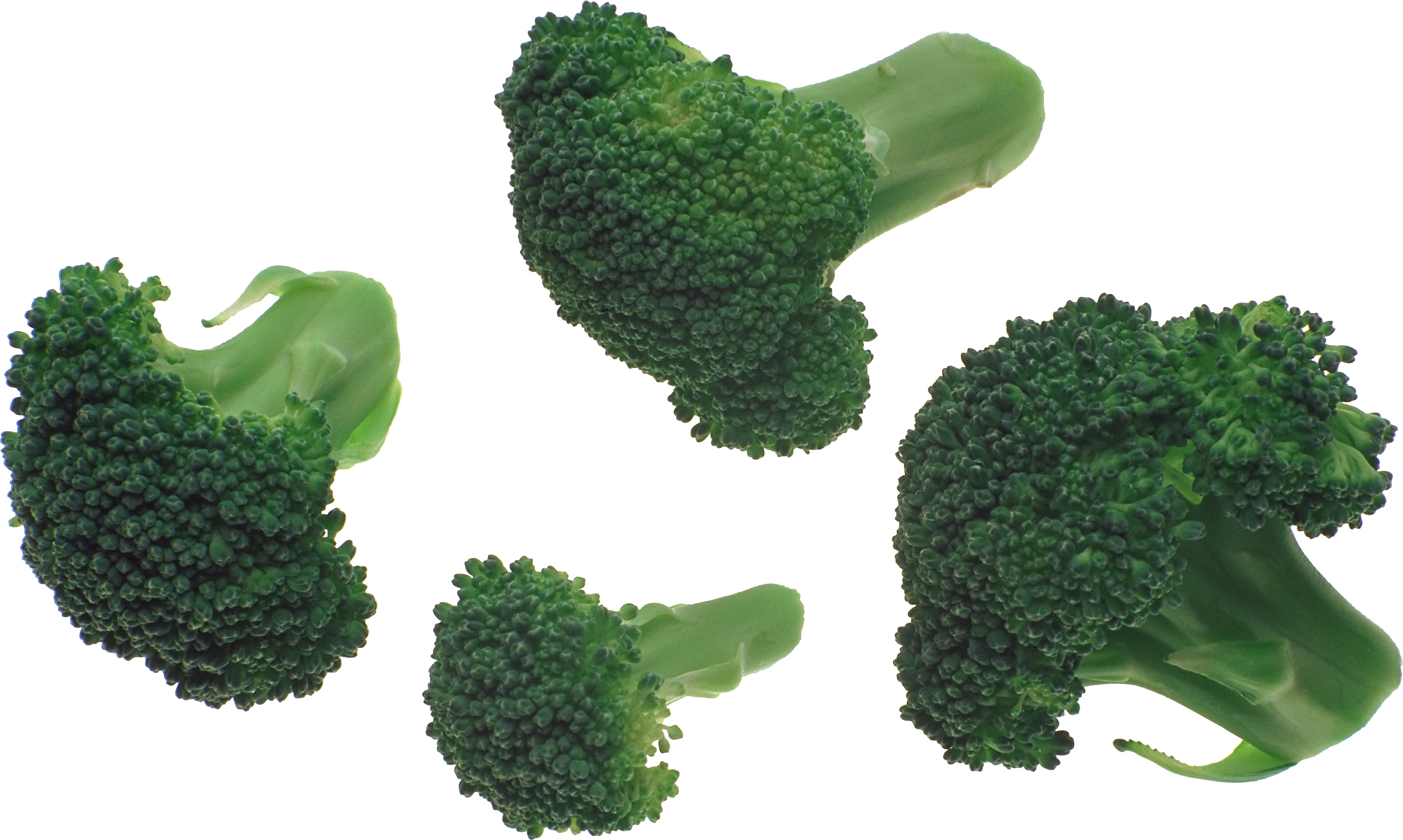 Detail Broccoli Transparent Nomer 39