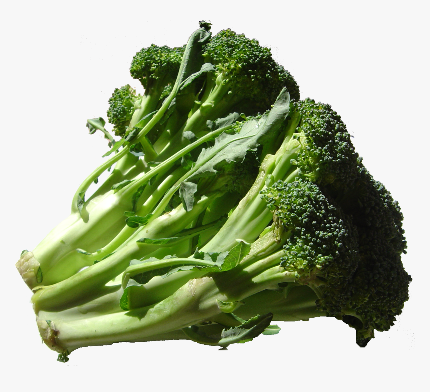 Detail Broccoli Transparent Nomer 40