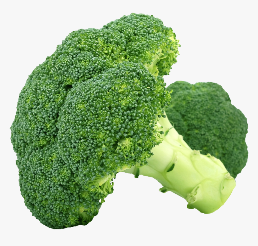 Detail Broccoli Transparent Nomer 4