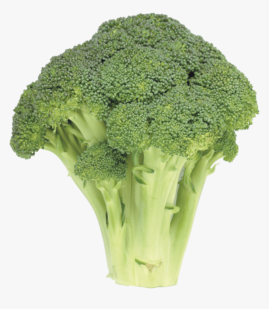 Detail Broccoli Transparent Nomer 46