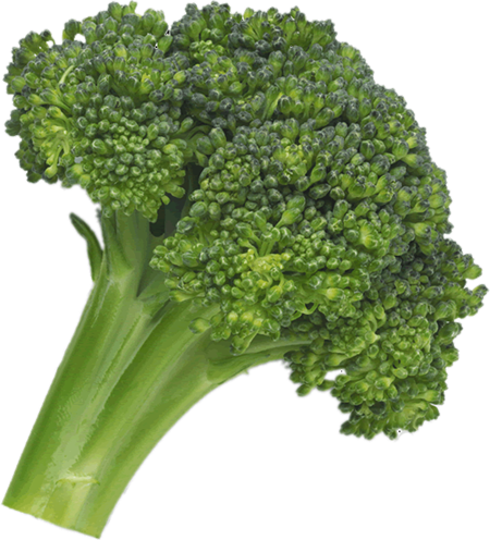 Detail Broccoli Transparent Nomer 49