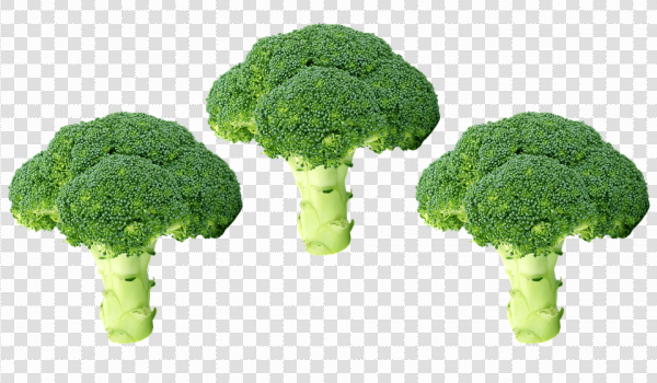 Detail Broccoli Transparent Nomer 51