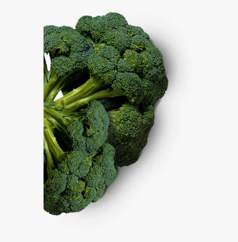 Detail Broccoli Transparent Nomer 52