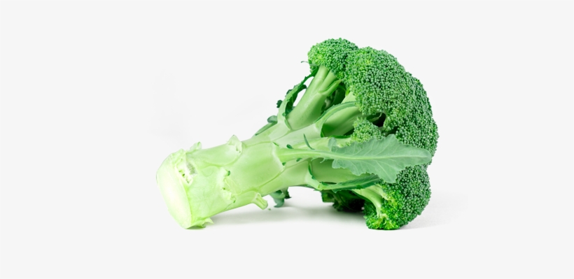 Detail Broccoli Transparent Nomer 53