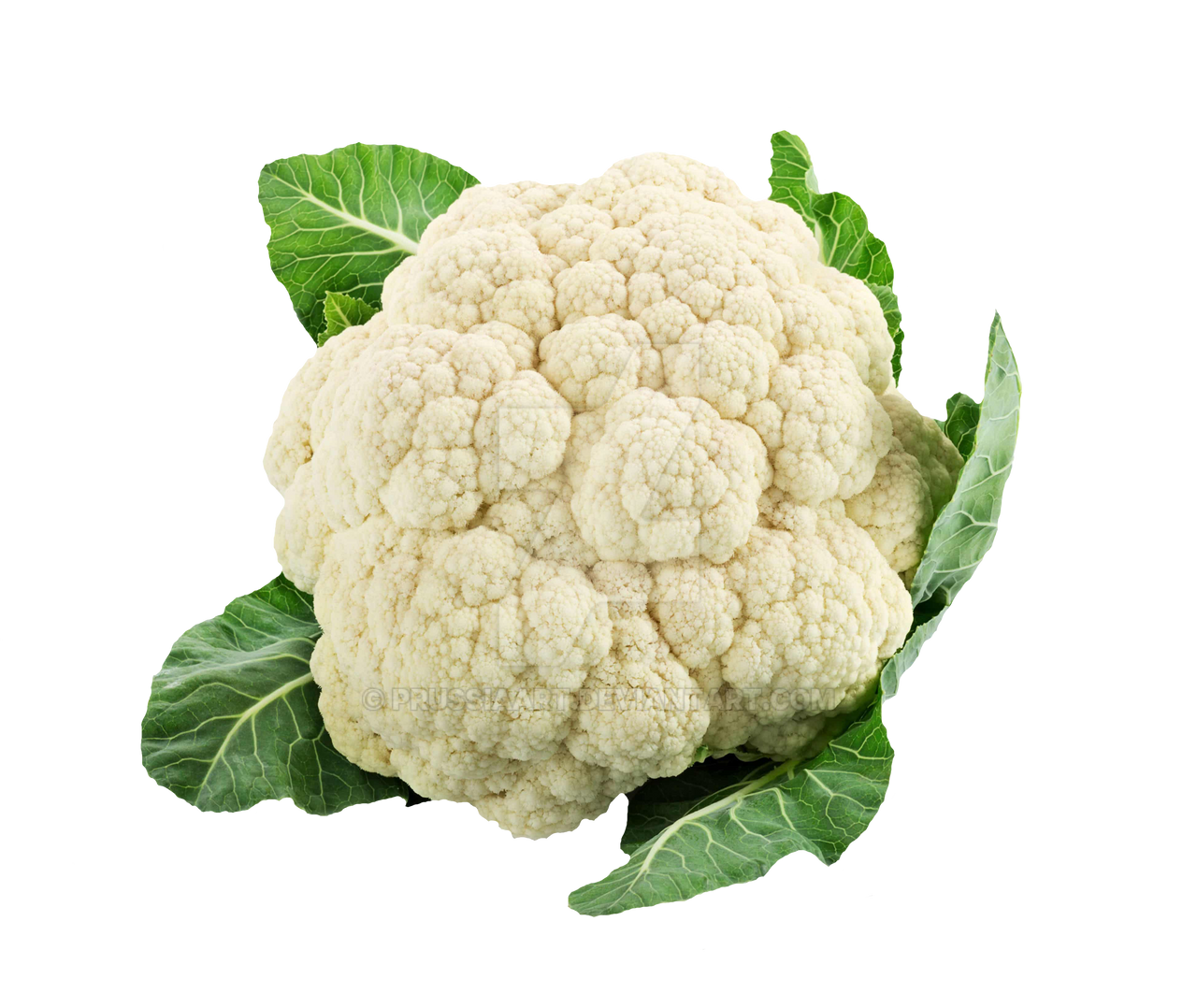 Detail Broccoli Transparent Nomer 54