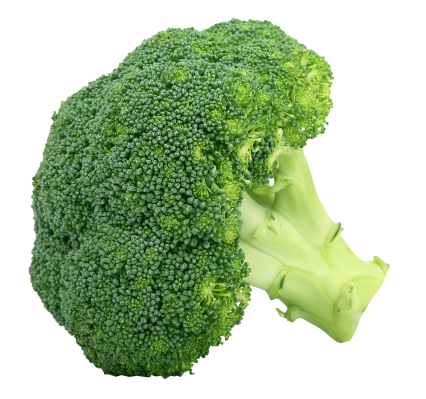 Detail Broccoli Transparent Nomer 6
