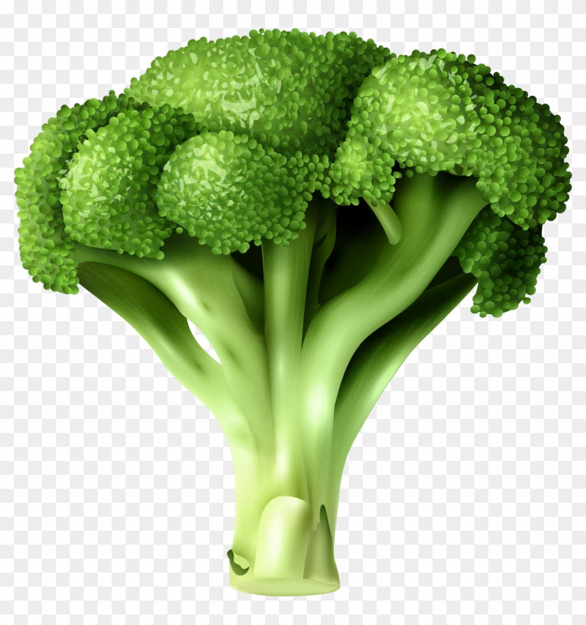 Detail Broccoli Transparent Background Nomer 11