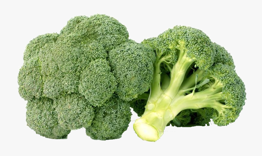 Download Broccoli Transparent Background Nomer 13