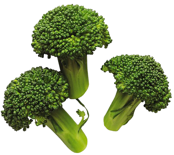 Detail Broccoli Transparent Background Nomer 22