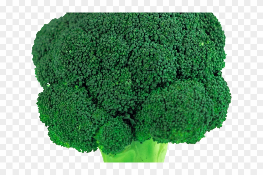 Detail Broccoli Transparent Background Nomer 35