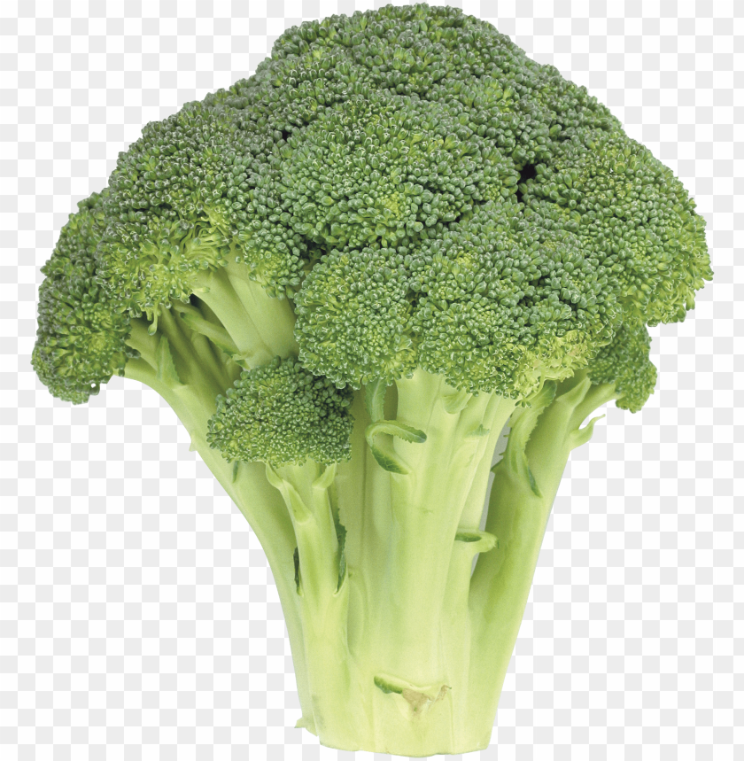 Detail Broccoli Transparent Background Nomer 3