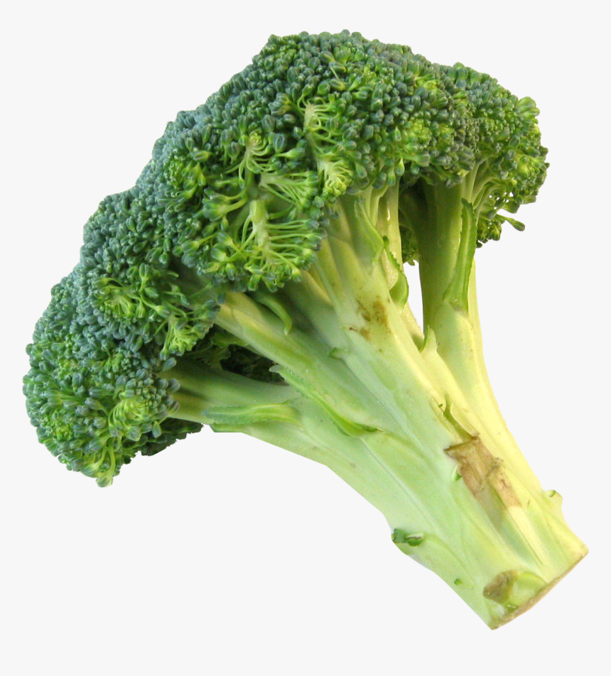 Detail Broccoli Transparent Background Nomer 4